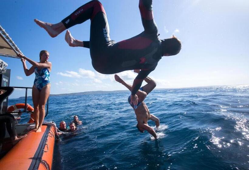 Общежитие Manta Lodge Yha & Scuba Centre