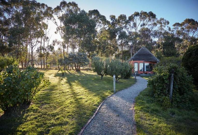 مبيت وإفطار Herons Rise Vineyard Accommodation