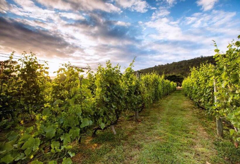 مبيت وإفطار Herons Rise Vineyard Accommodation