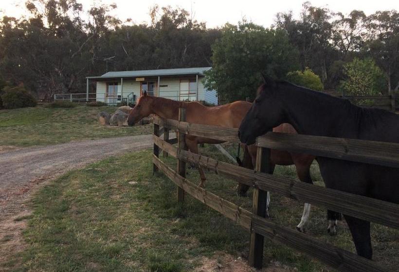 בית מלון כפרי Warby Cottage