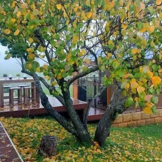 فندق على الطريق Blackwood Valley Suites