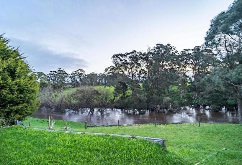 Platypus Waters B&b