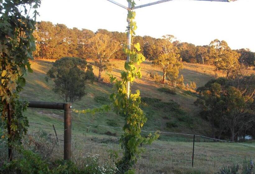 Springmead B&b