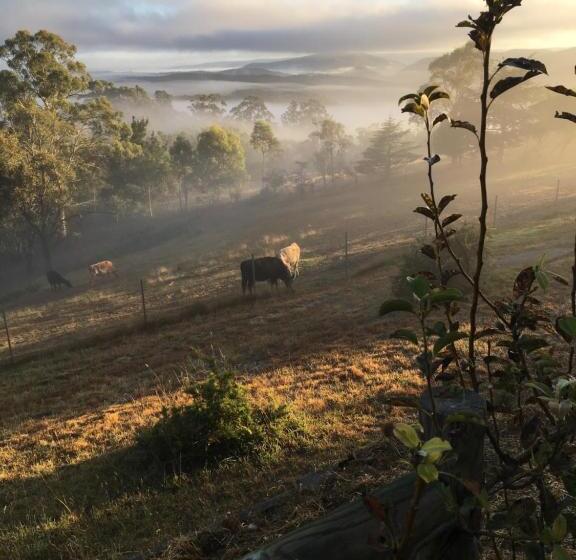 Springmead B&b