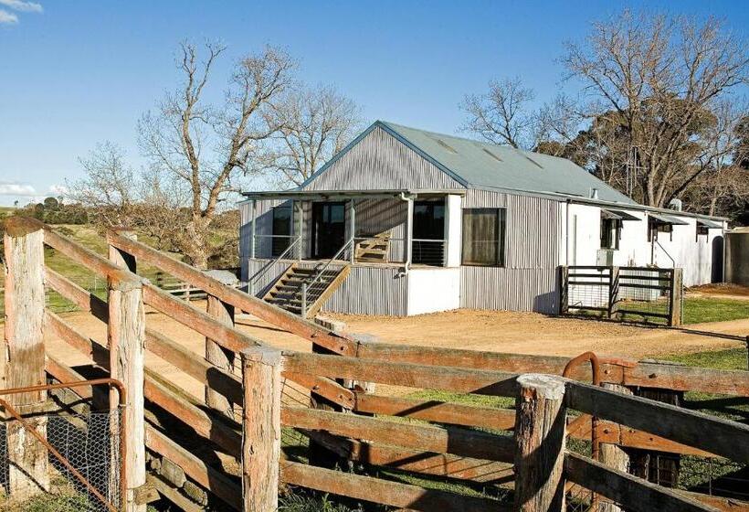 مبيت وإفطار Black Sheep Inn