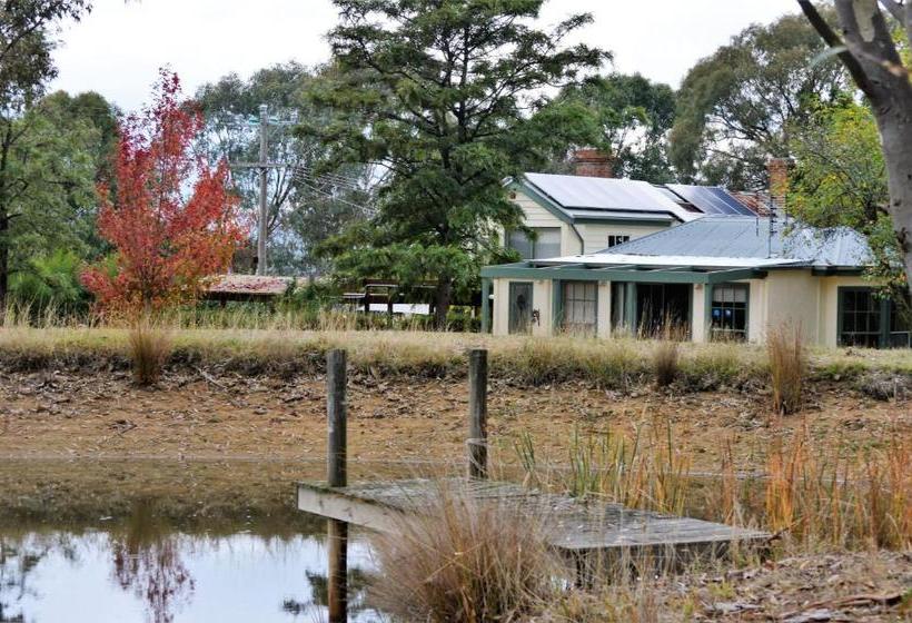 Bed and Breakfast Friends In Harcourt North