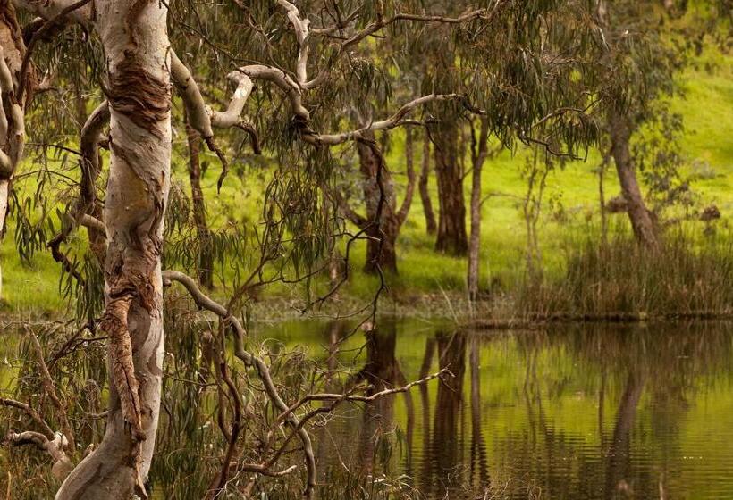 Отель Trawool Shed Cottages, Cafe And Restaurant