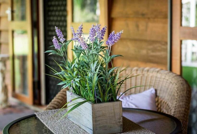 Rondayvoo Bed & Breakfast