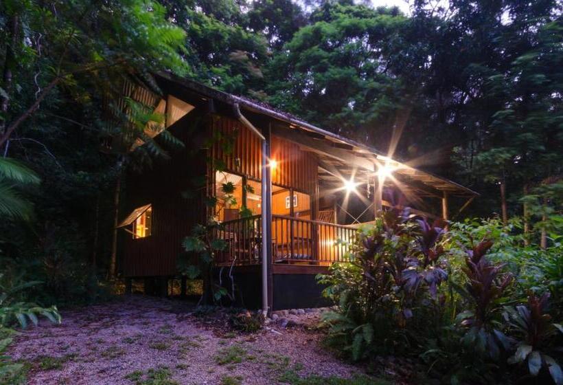Epiphyte B & B