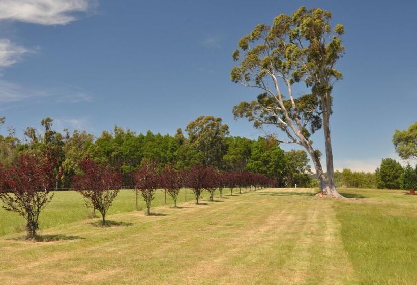 汽车旅馆  Poplars Inn Mittagong