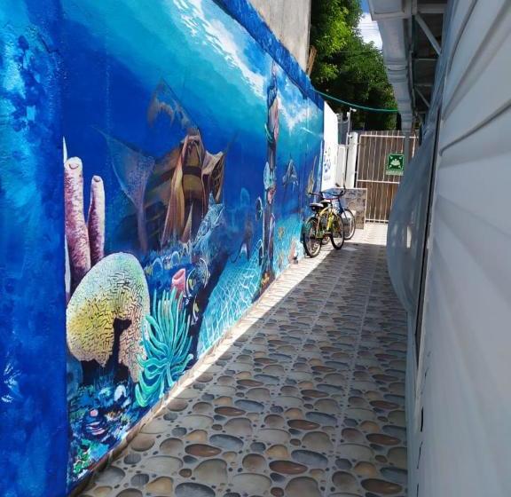 هاستل Posada San Nicolas