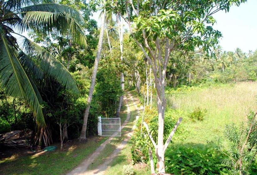 هاستل Village Villa