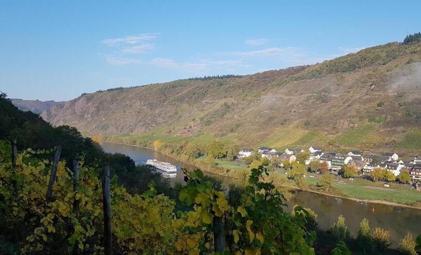 بنسيون Weinhotel Sonnenschein