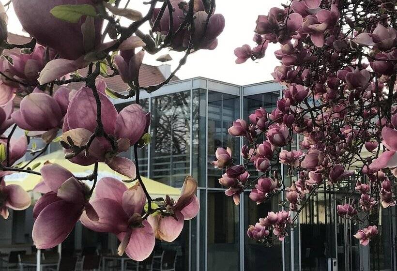 City Partner Park Hotel Pelikan