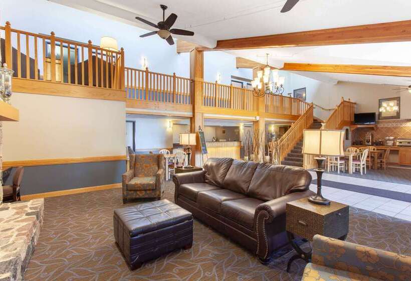 ホテル Americinn By Wyndham North Branch