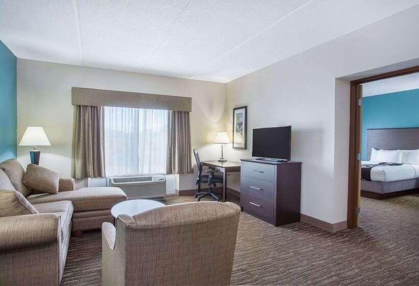 בית מלון כפרי Comfort Inn & Suites Sarasota I75