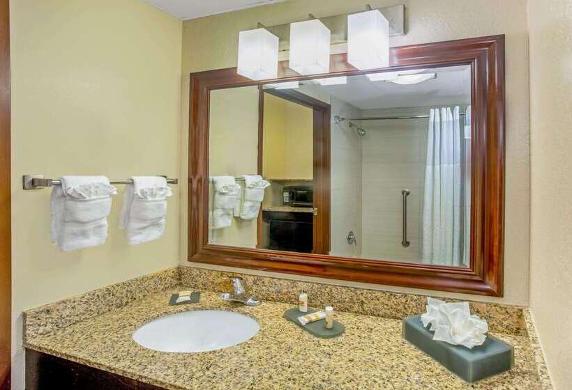 בית מלון כפרי Comfort Inn & Suites Sarasota I75