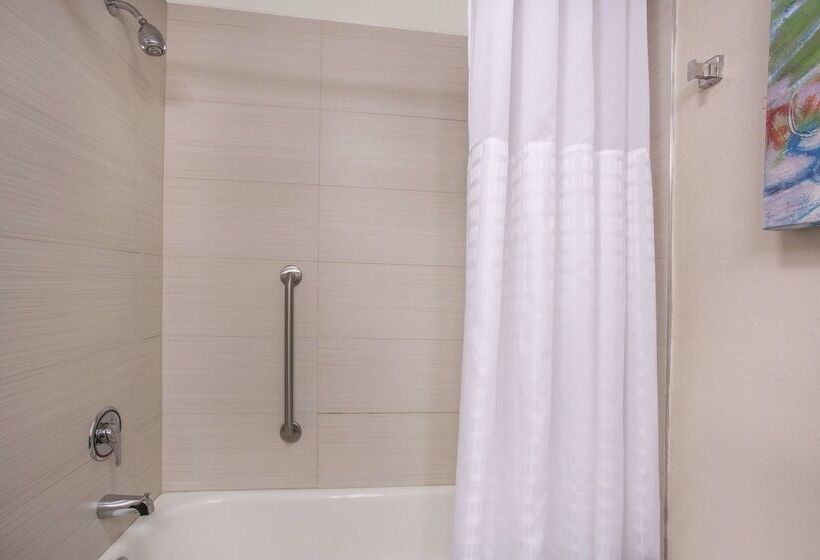 בית מלון כפרי Comfort Inn & Suites Sarasota I75