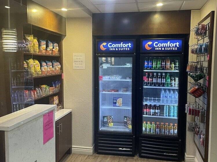 בית מלון כפרי Comfort Inn & Suites Sarasota I75