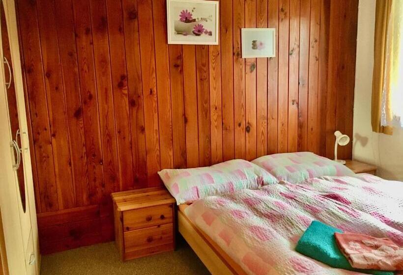 پانسیون Ubytovani Haasova