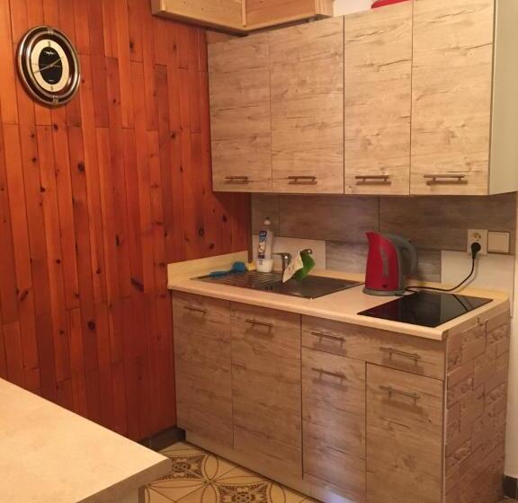 پانسیون Ubytovani Haasova