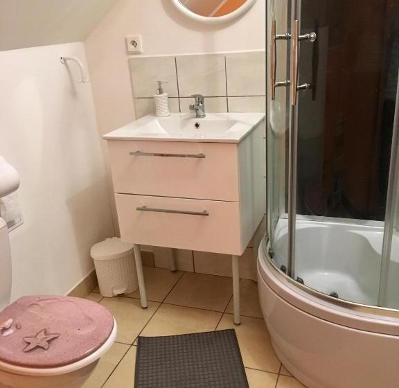 پانسیون Ubytovani Haasova