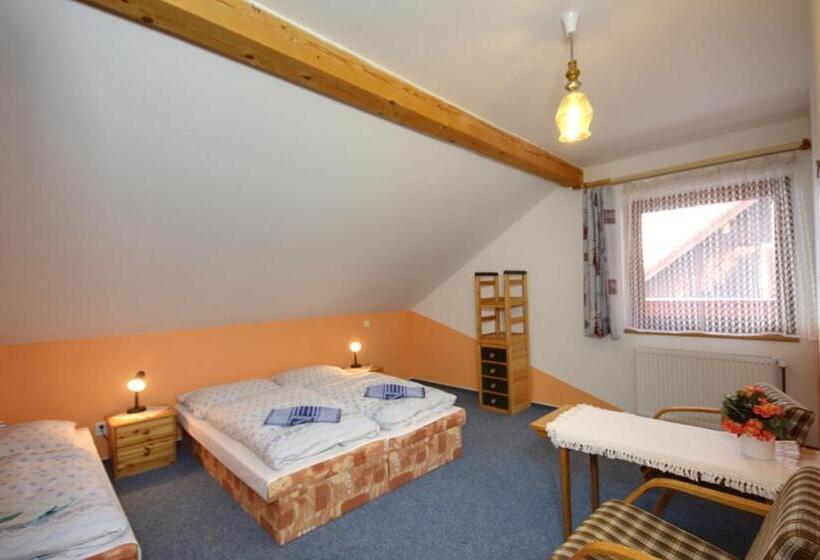 پانسیون Ubytovani Haasova