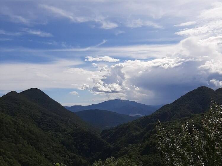 호텔 B&b La Locanda Del Cinghiale