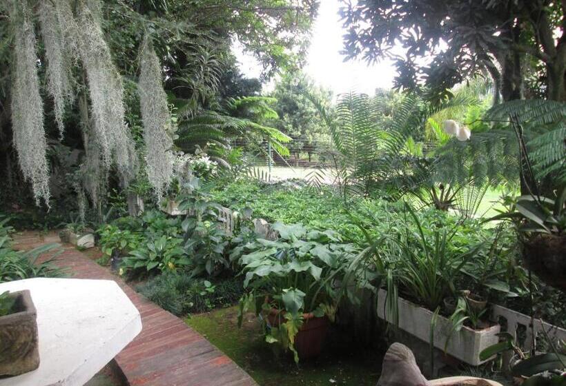 هتل Almar View Guest House