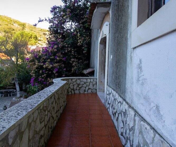 فندق Quinta De Rio Alcaide