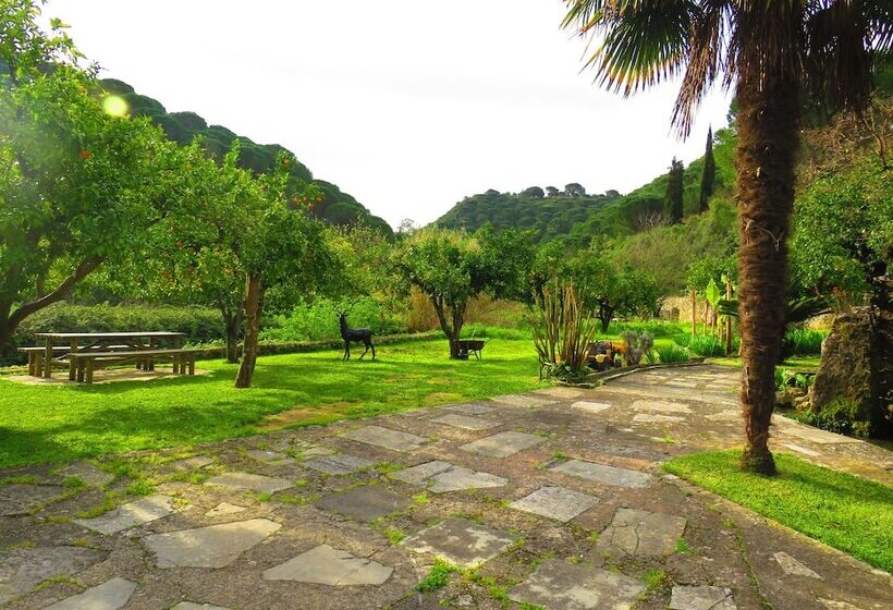 فندق Quinta De Rio Alcaide