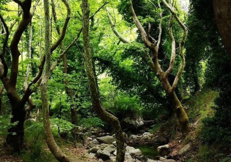 בית מלון כפרי Steni