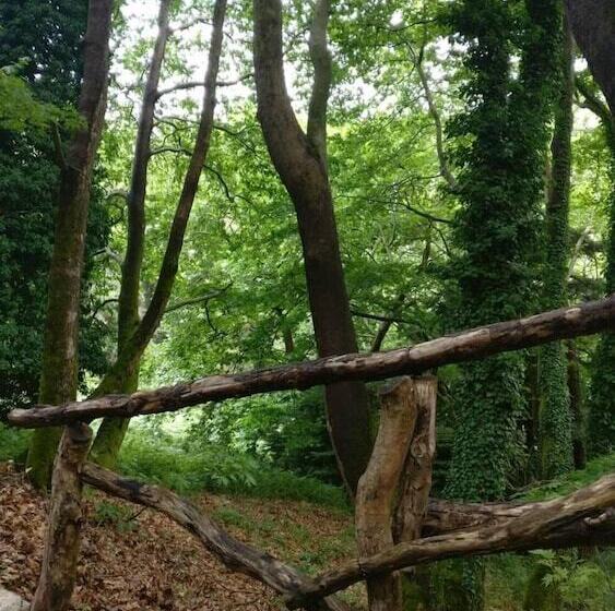 בית מלון כפרי Steni