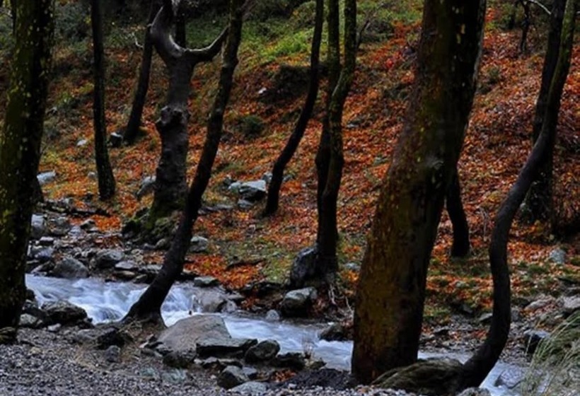 בית מלון כפרי Steni