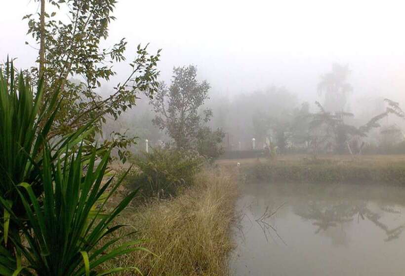 Suanlamyai Resort
