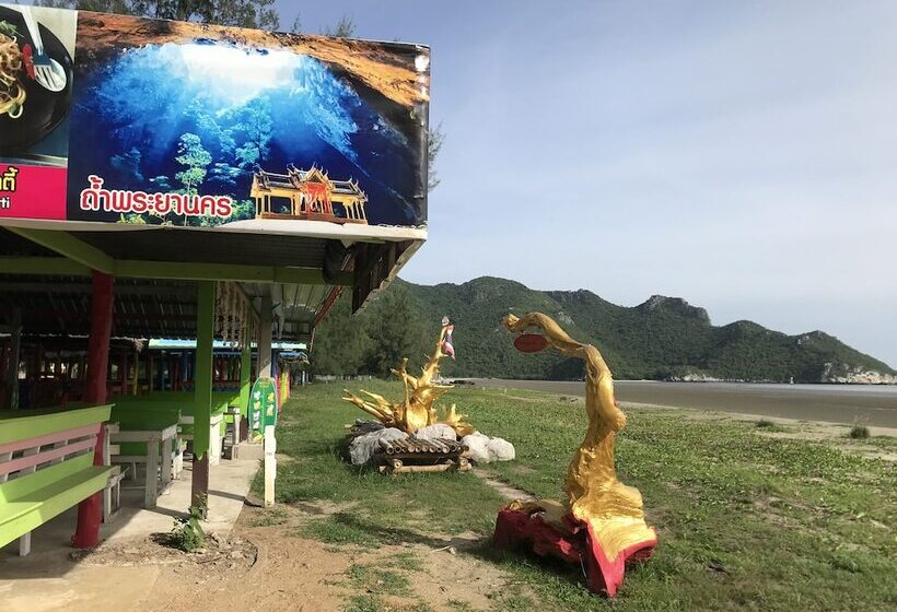 The Shark Resort