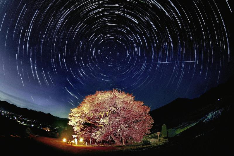 酒店 Spa Lodge Redwood Inn