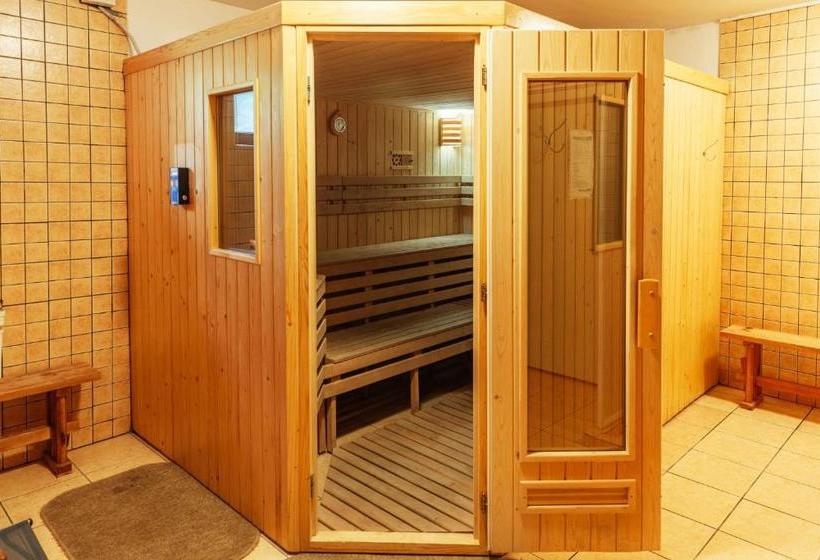 פנסיון Medve Desag Ursul