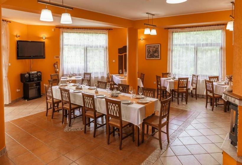 פנסיון Medve Desag Ursul