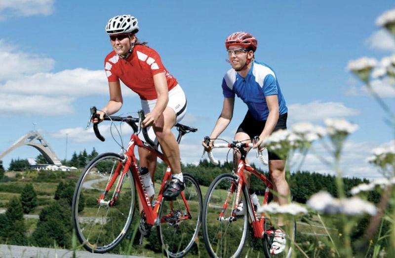 ホテル Donauhof Mauthausen