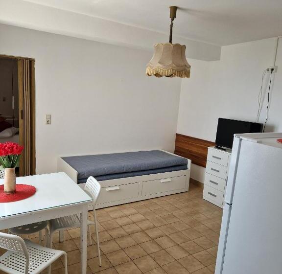 بنسيون Guest House Lidus