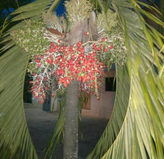 منتجع Jackson Guesthouse Anomabo