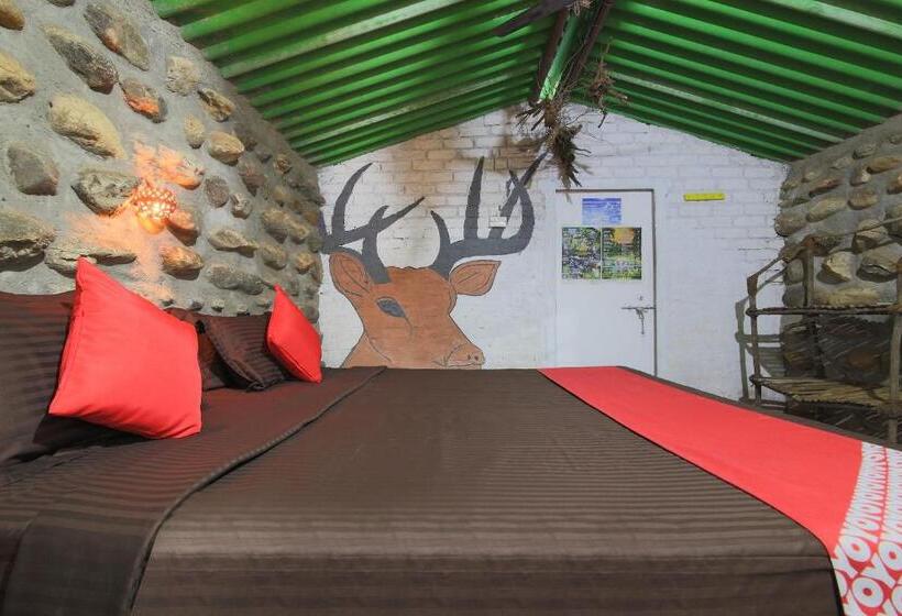 فندق Jungle Book Resort