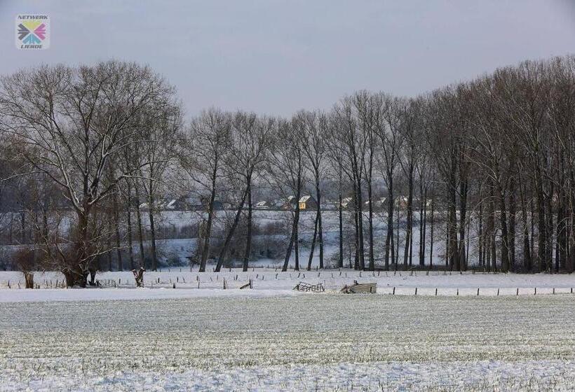 B&b Goudsbloempje