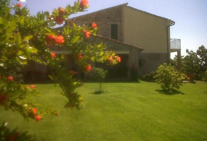 호텔 Agriturismo Podere Micitto