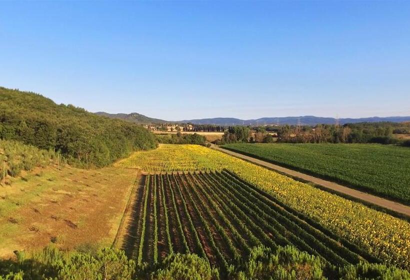 ホテル Agriturismo Podere Mulinaccio