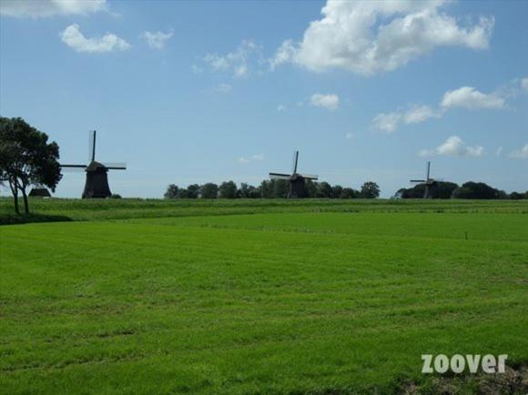 Отель De Gouden Karper