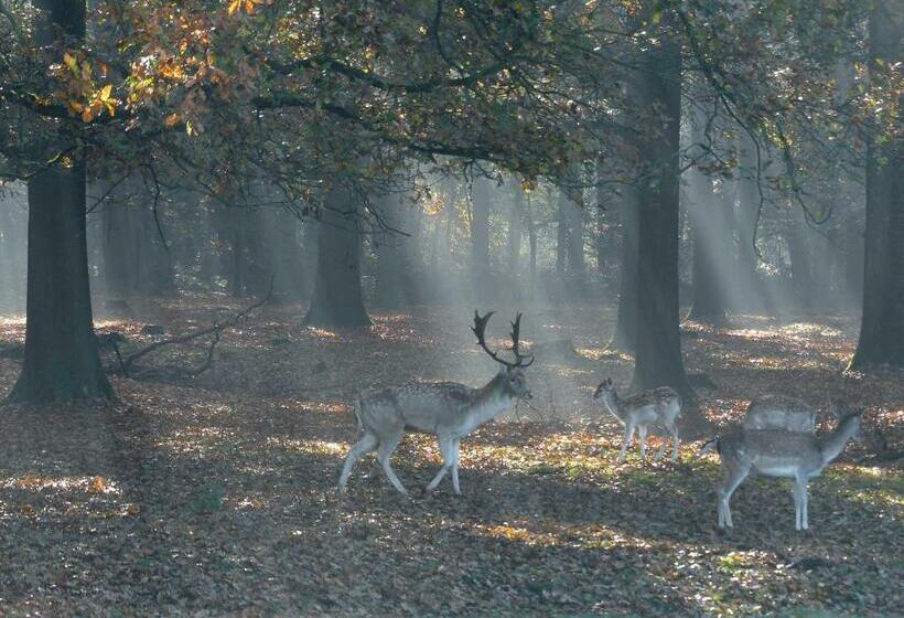 ホテル De Spaarbankhoeve