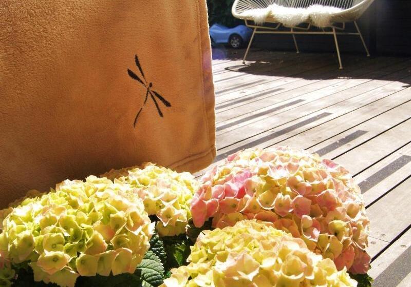 هتل Sofs Boutique