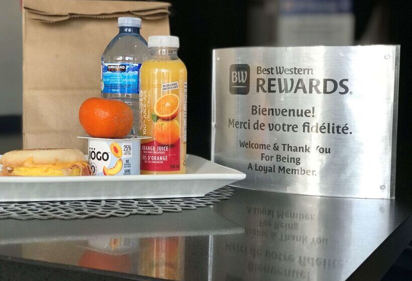 فندق Best Western Plus Gatineauottawa Downtown